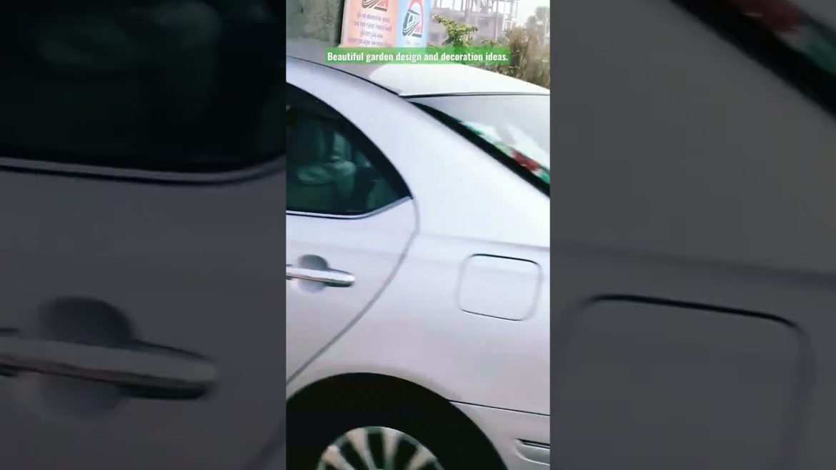 Beautiful garden design and decoration ideas for all.#viral #shorts #gardening #viralvideo #flowers