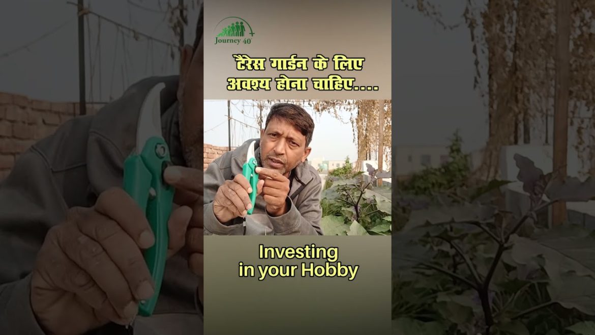 #Shorts #Best equipment for your terrace garden| Invest in your hobby| #passion | Kitchen garden|