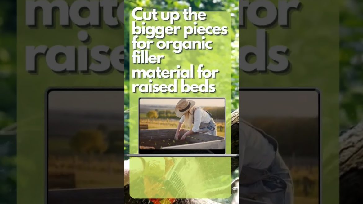 REPURPOSING YOUR CHRISTMAS TREE FOR YOUR GARDEN! #gardenhacks #gardentips #trending REPURPOSING YOUR CHRISTMAS TREE FOR YOUR GARDEN! #gardenhacks #gardentips #trending