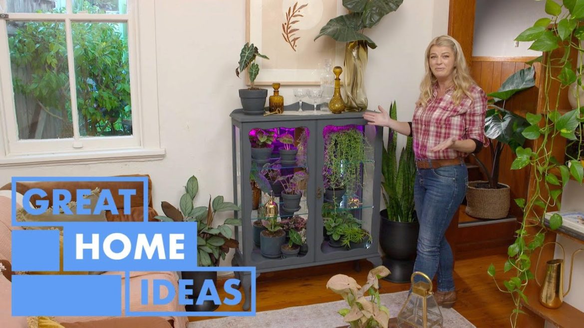 Light Up Your Plants | HOME | Great Home Ideas