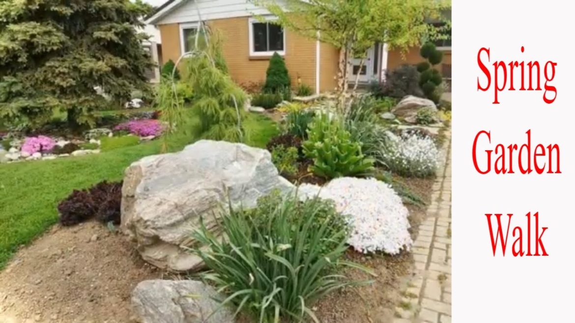 May Garden Walk Around my Front Yard