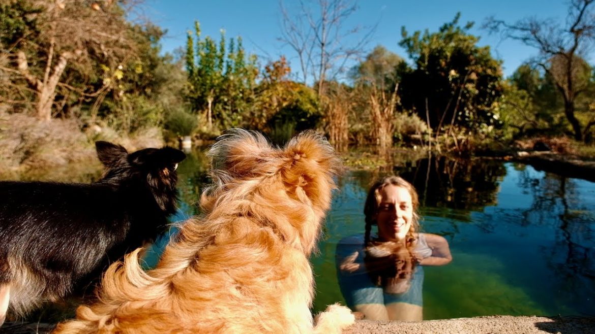 Winter Days Alone on our Off-Grid Homestead Winter Days Alone on our Off-Grid Homestead