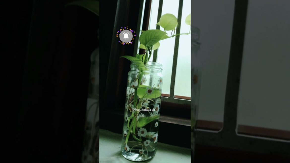 🖌️LET'S PAINT A JAR! | Infinite Beauty From Recycling Waste | Daisy Glass 🌸 #shorts #ytshorts #art 🖌️LET'S PAINT A JAR! | Infinite Beauty From Recycling Waste | Daisy Glass 🌸 #shorts #ytshorts #art