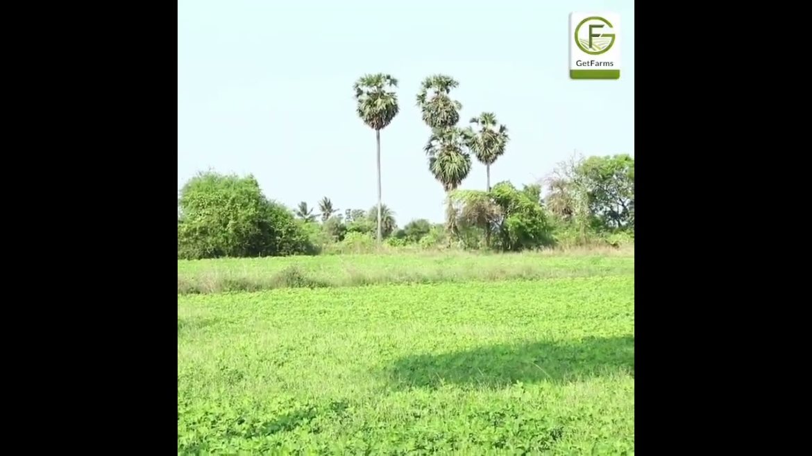 The Essence Of Organic Farming – Enjoy The Perks Of Your Own Organic Farm The Essence Of Organic Farming - Enjoy The Perks Of Your Own Organic Farm