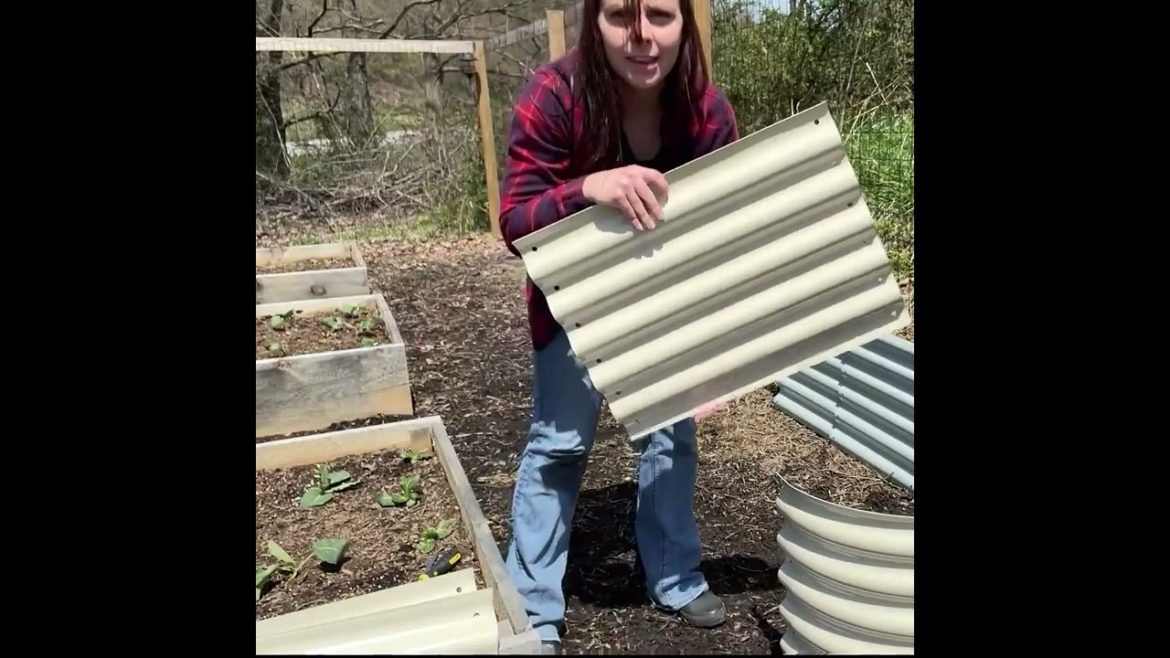 How To Create The Perfect Vegetable Garden In Your Backyard