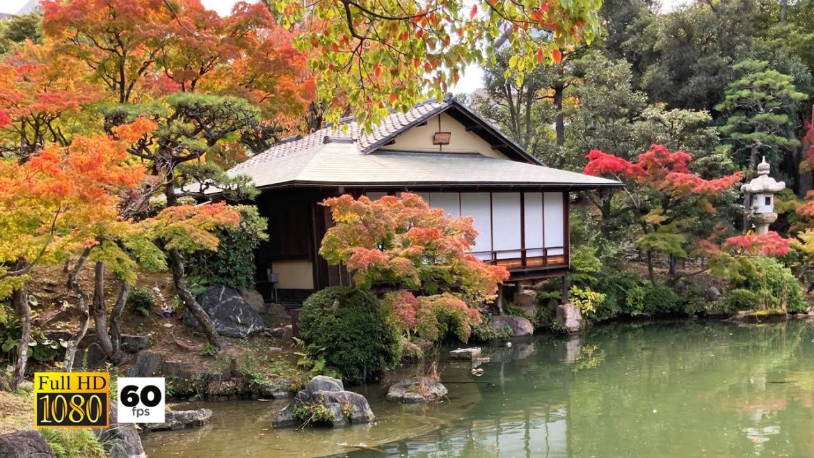 JAPAN TRAVEL | Sorakuen Garden, Japanese garden in Autumn Sagara Banquet | Maples changed color