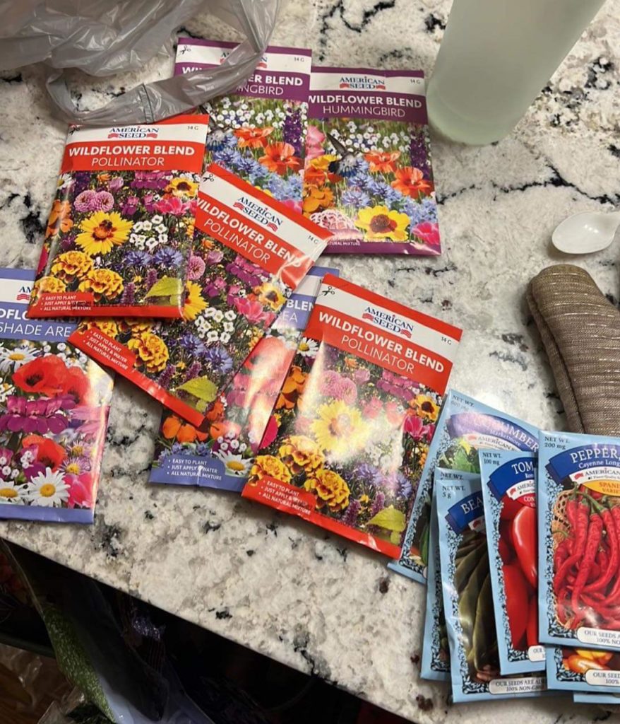 Dollar Tree Seeds! Dollar Tree Seeds!