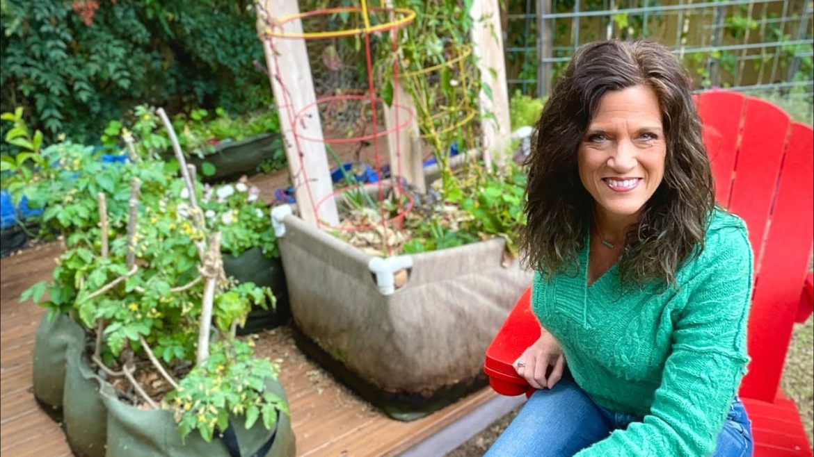 CaliKim: ☃️Live: December Garden To-Do List (For Any Climate) ☃️Live: December Garden To-Do List (For Any Climate)