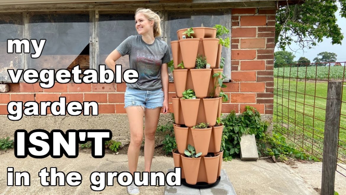 How You Can Have A Garden With Little To NO Room | Container Gardening