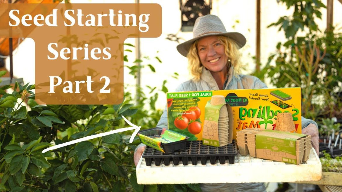 Seed Starting Indoors Series Part 2 Sowing Seeds Correctly