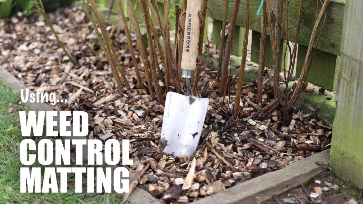 How to Install Weed Control Matting & Tying Back Bushes with Andersons Gardening Products. How to Install Weed Control Matting & Tying Back Bushes with Andersons Gardening Products.