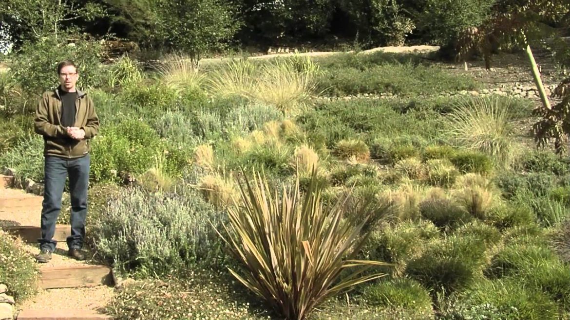 Front Yard Design Ideas Front Yard Design Ideas