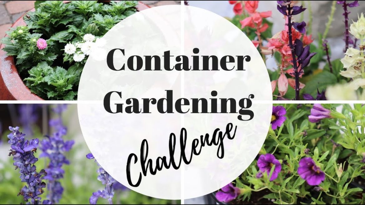 Container Gardening Challenge | Spring Container Gardening [2018]