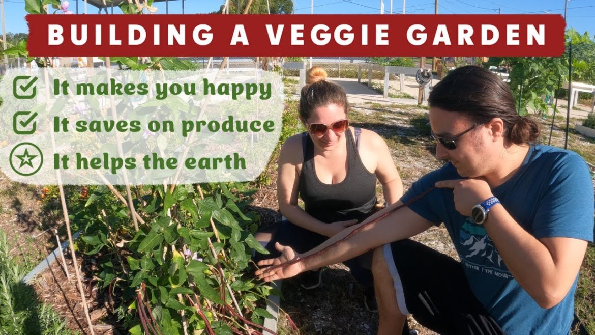 New Year's Resolution: Building a Veggie Garden
