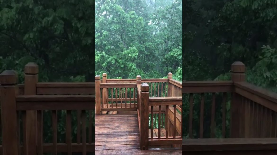 beautiful backyard and garden blessed with rain #shorts 😍