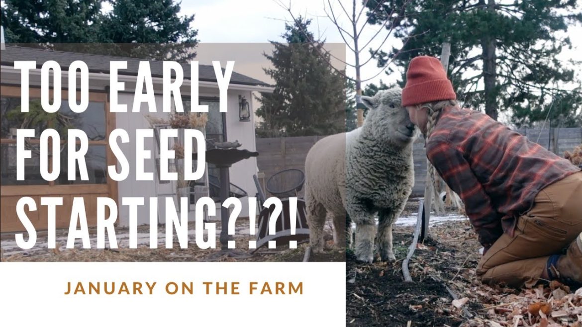 Defying those who say January is too early for seed starting! Defying those who say January is too early for seed starting!