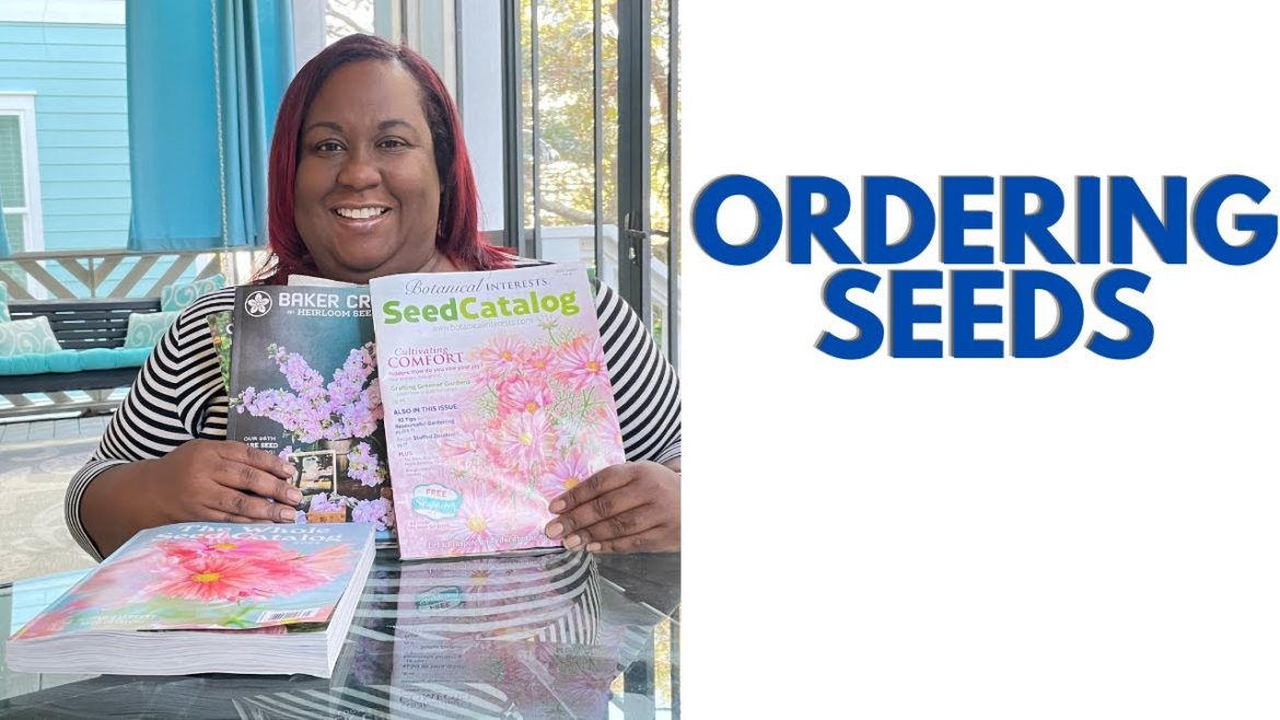 Time to ORDER SEEDS 2023| My STRATEGY on ordering SEEDS Time to ORDER SEEDS 2023| My STRATEGY on ordering SEEDS