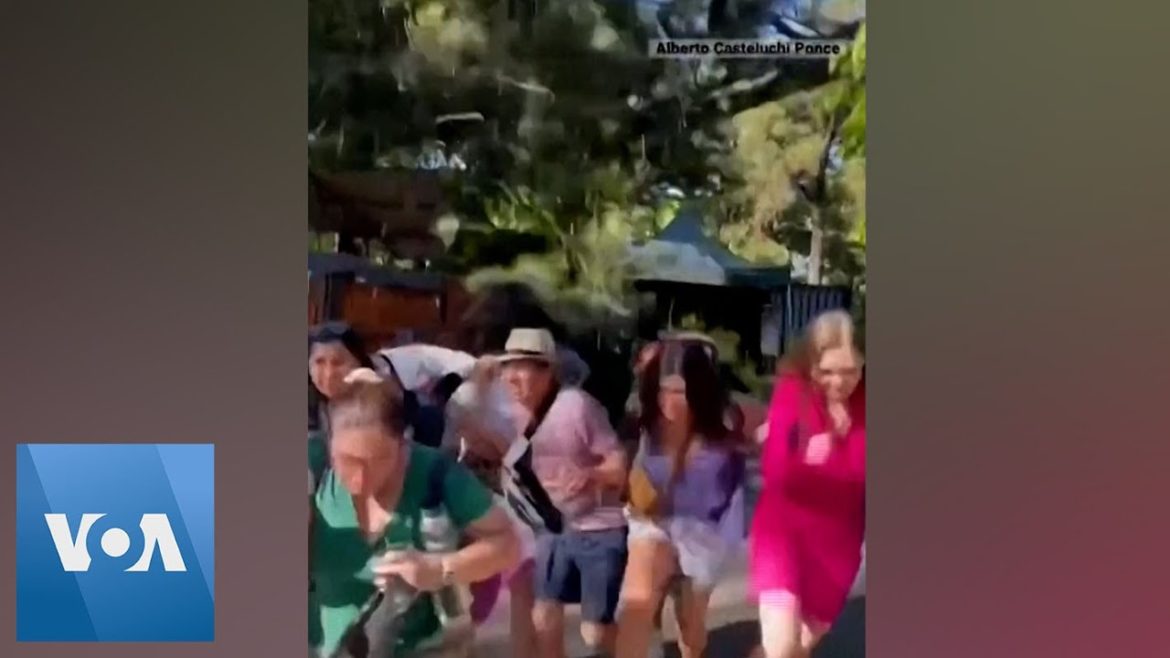 At Least Two Injured as Branch Falls on Visitors in Argentine Garden  | VOA News