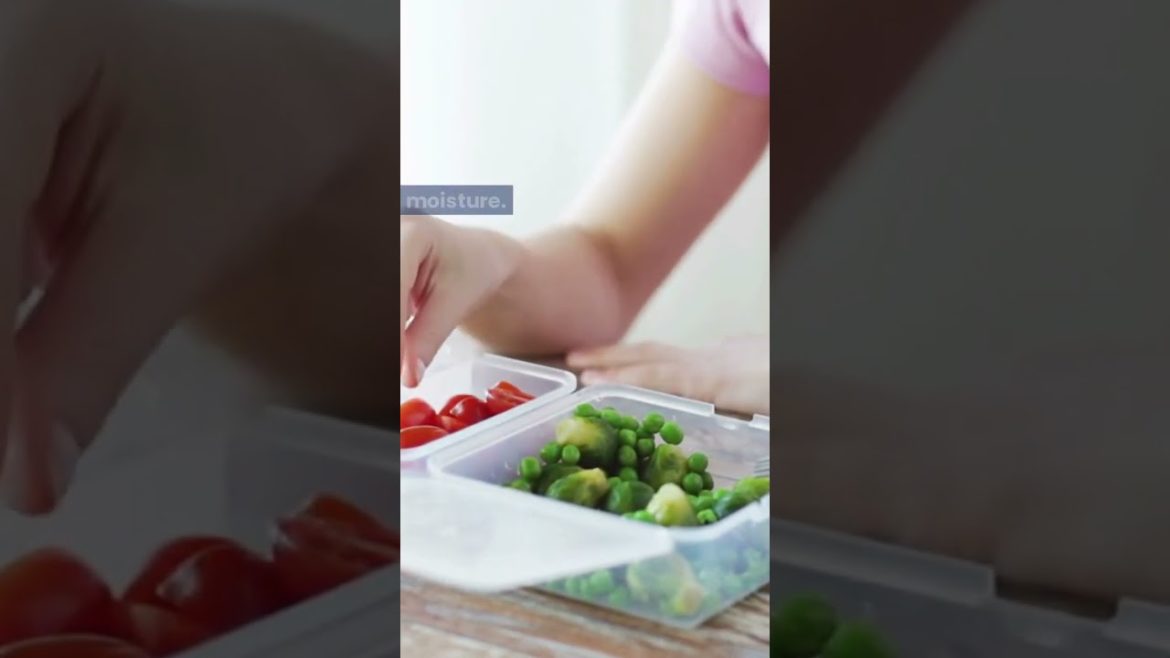 Do Airtight Containers Keep Bugs Out? Superb 5 Benefits Having This Container