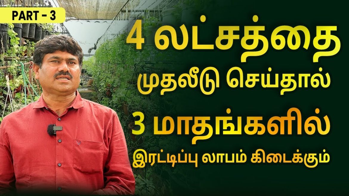 How to Start a Profit Plant Nursery Business? | Nursery Business In Tamil | Part 3 | Sana Ram