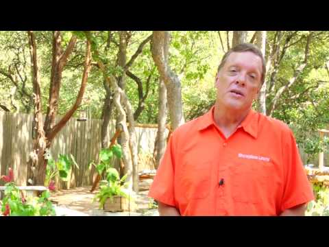 Gardening Tips : How to Keep Deer out of a Garden Gardening Tips : How to Keep Deer out of a Garden