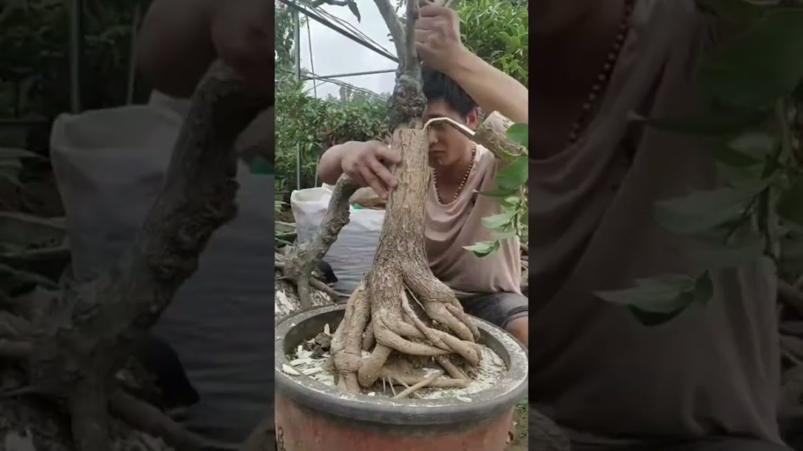 Tips Pairing sticky Straight two trunks together part8