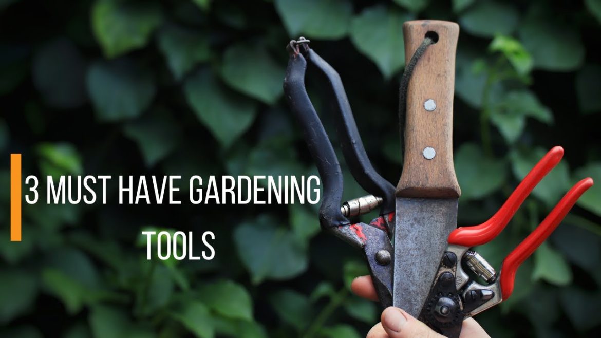 3 Tools Every Gardener Should Have