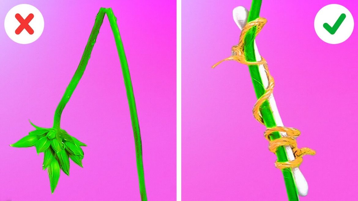 Incredible Planting Hacks And Gardening Tips