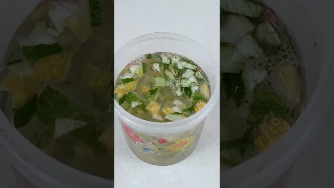 Cucumber Peel Fertilizer for any Plants | Homemade organic liquid fertilizer for plants#shorts