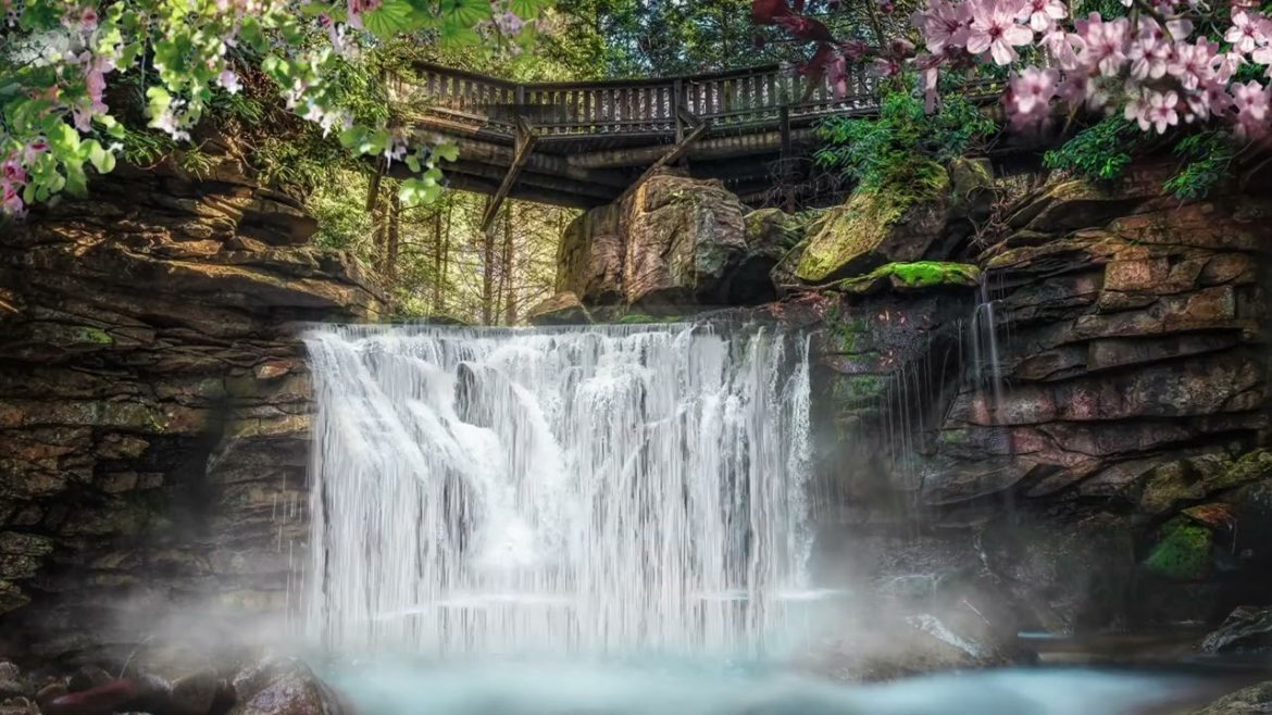Japanese garden waterfall meditation