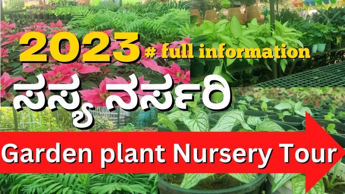 Garden Plant Nursery full Tour | Kannada | #Nimmadost Garden Plant Nursery full Tour | Kannada | #Nimmadost
