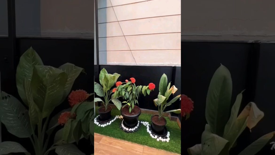 terrace garden design #shorts #viral