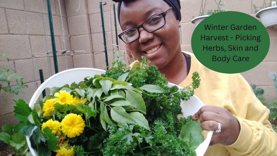 Winter Garden Harvest - Picking Herbs, Skin and Body Care
