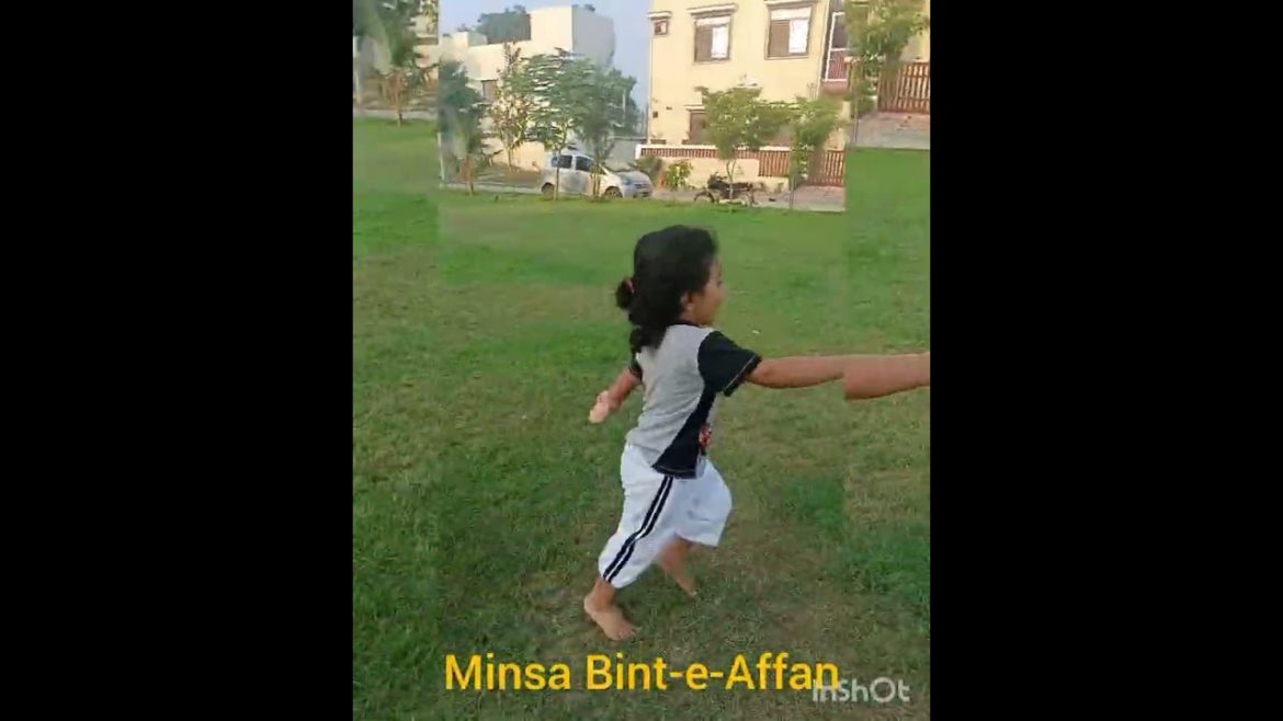 Minsa Catching Birds Minsa Catching Birds