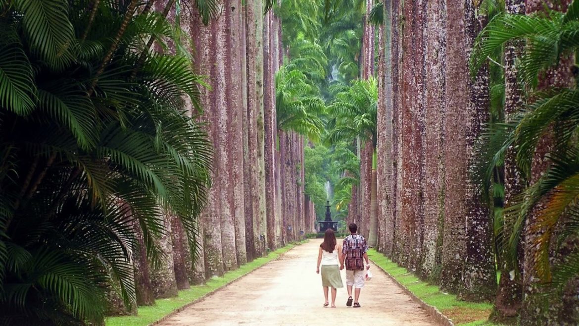 Tour Rio de Janeiro - Jardim Botanico Exploration Day Pass