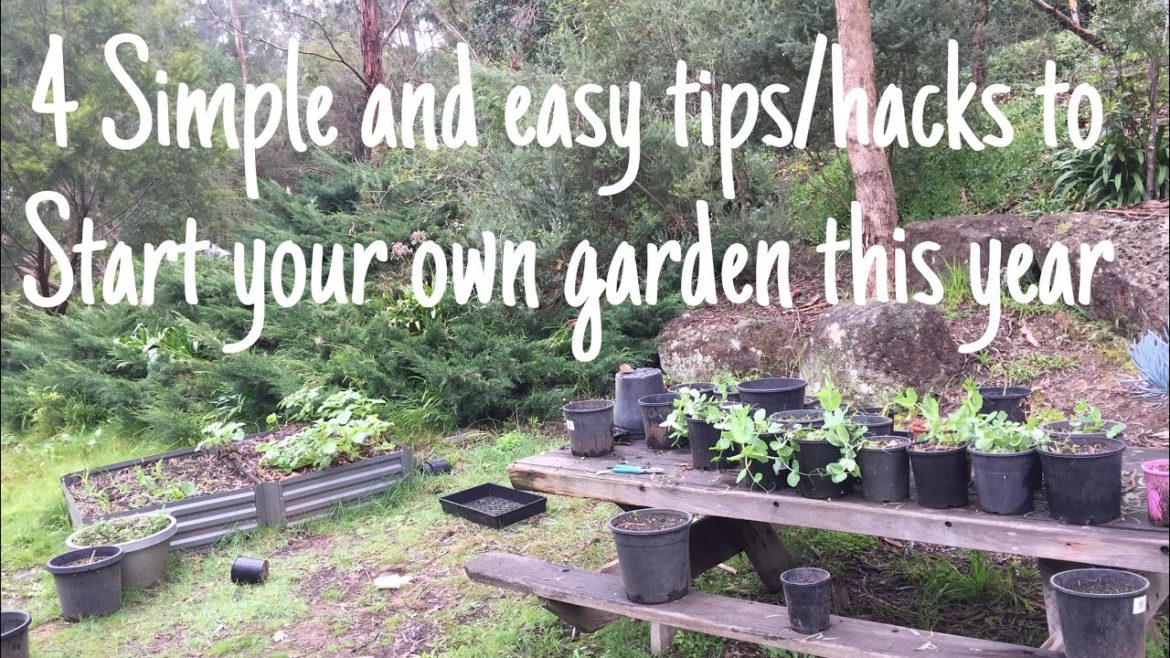 4 GARDEN TIPS/HACKS to start your own garden this year