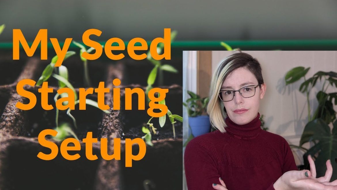 Gardening Guide: Seed Starting Setup
