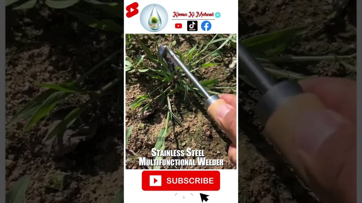 Stainless Steel Multifunction Weeder, Garden Hand Weeder Tools Removing Weeds Puller Gardening Tool Stainless Steel Multifunction Weeder, Garden Hand Weeder Tools Removing Weeds Puller Gardening Tool