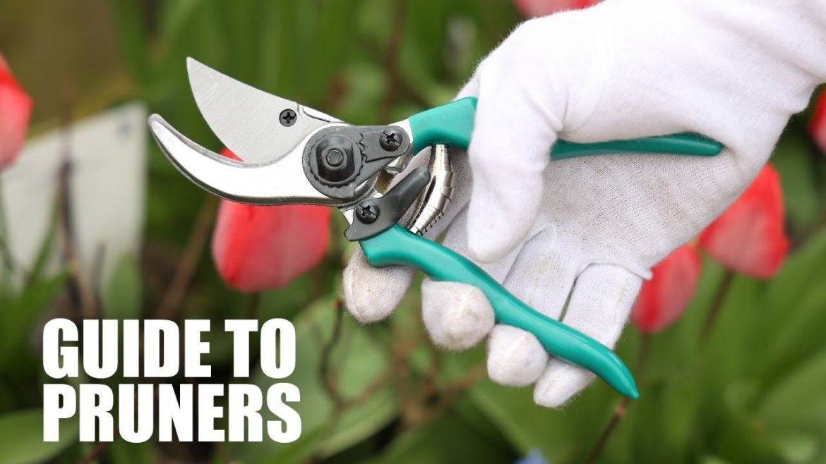 Guide to Pruners with Andersons Gardening Products | Demonstrate