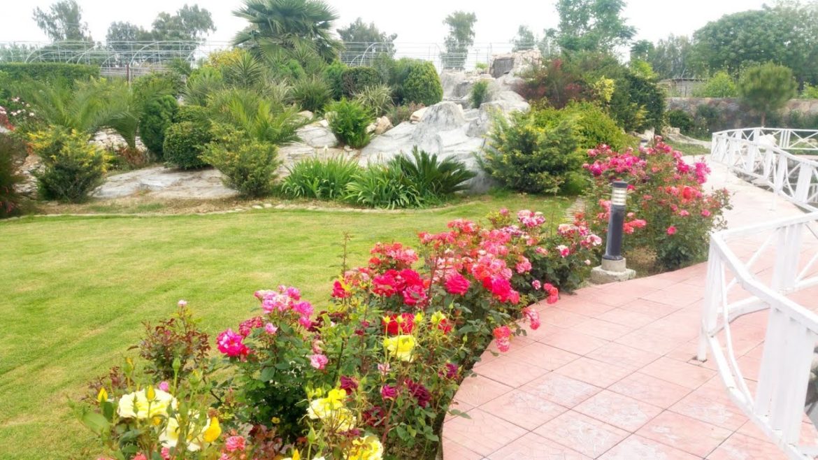 beautiful landscape design idia for garden and backyard #landscapedesign #waqardecordesigner #art