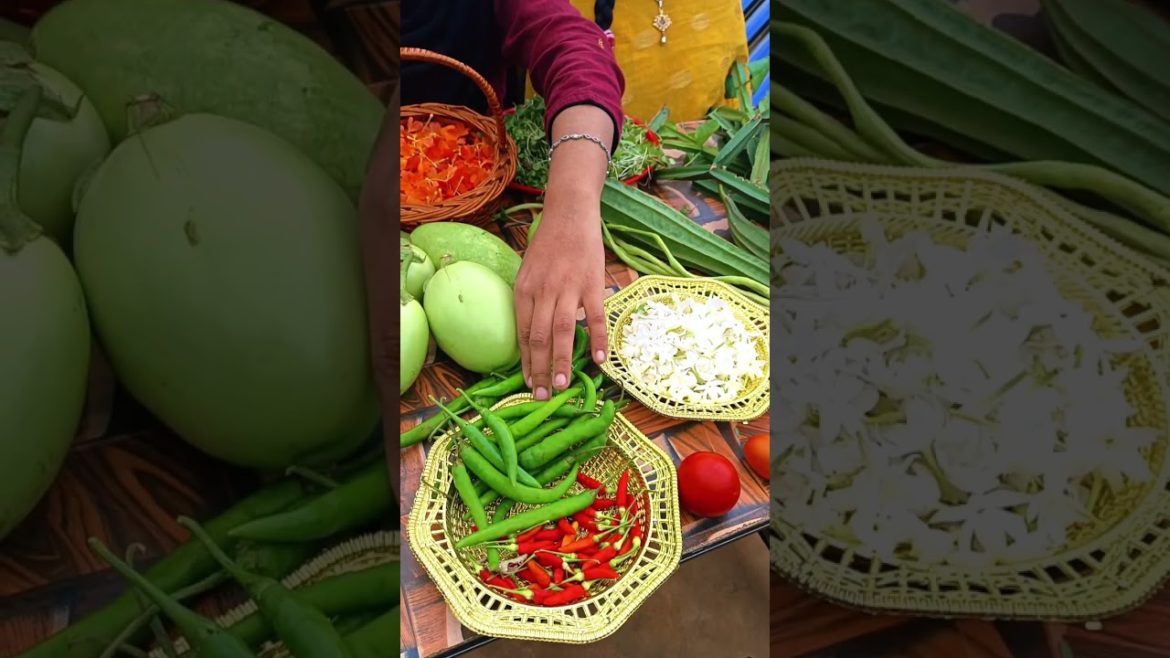 Harvesting Organic Vegetables in Garden #shorts #garden #Harvest
