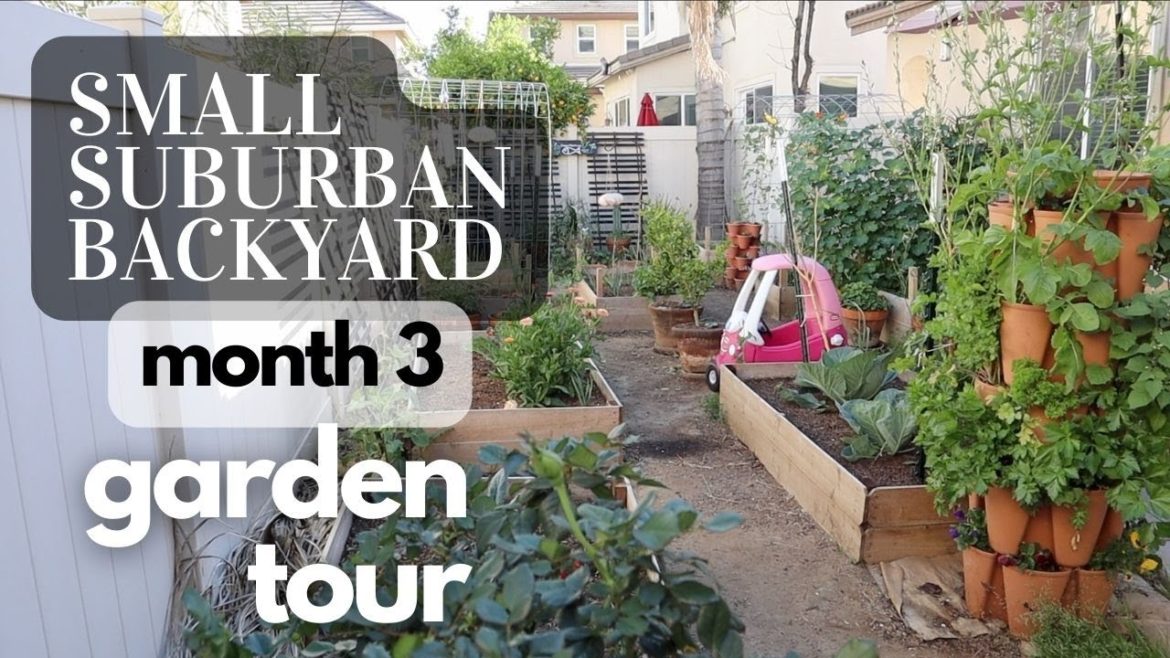 MARCH GARDEN TOUR OF A SMALL SUBURBAN BACKYARD GARDEN  IN SPRING | California Zone 9B Kitchen Garden
