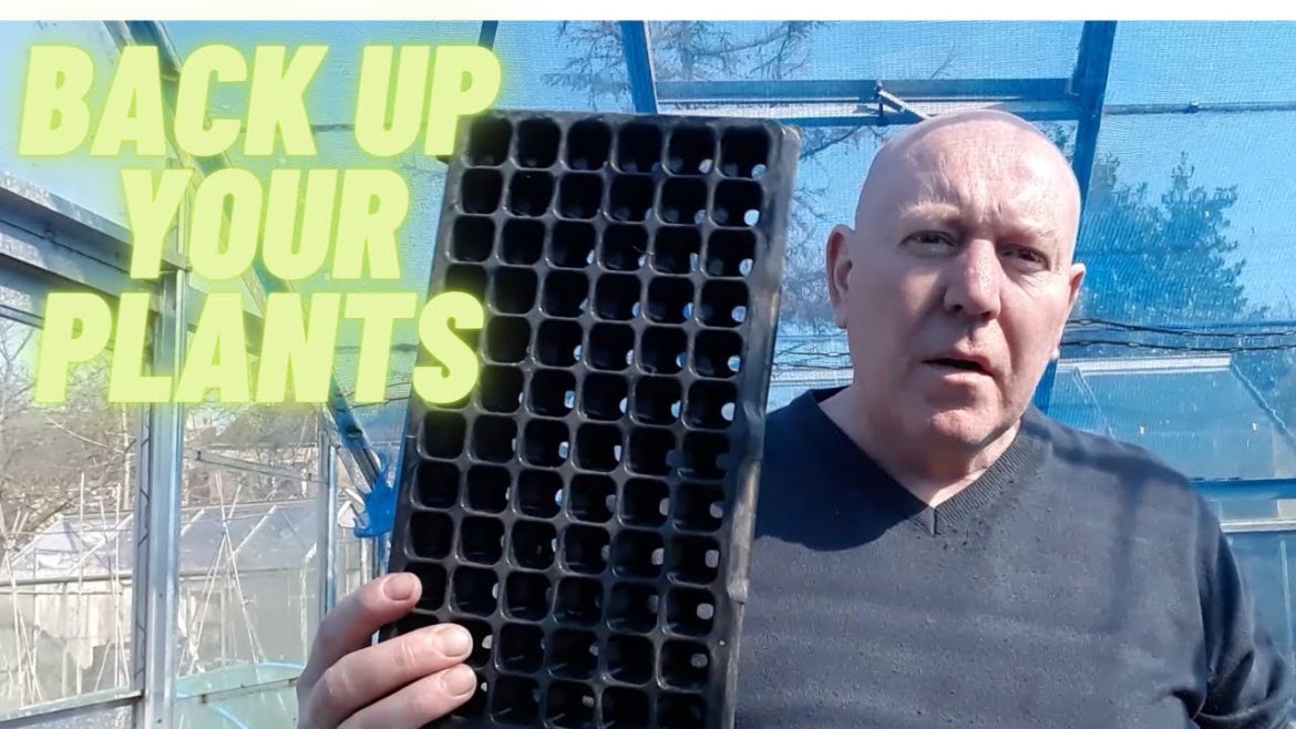 Backing Up Your Plants  [Gardening Allotment uk] [Home Growing Veg & Flowers