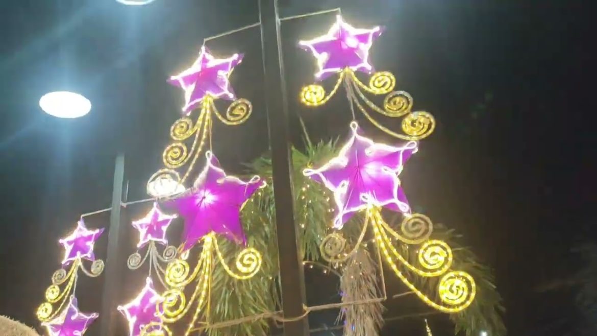 THE ORCHIDS GARDEN RESORT|Reynolds MotoVlog