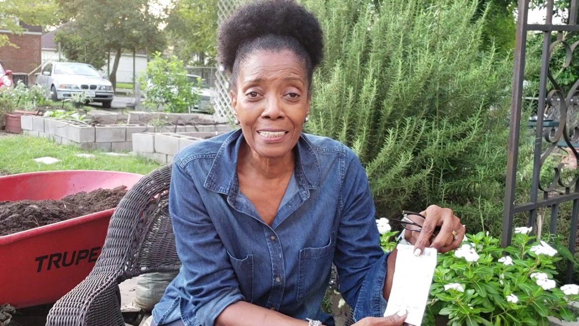 How to Read Seed Labels with The City Girl Gardener