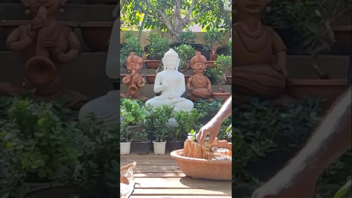 Garden Design Ideas in Tamil Tamil Nadu #shorts #trichy Garden Design Ideas in Tamil Tamil Nadu #shorts #trichy