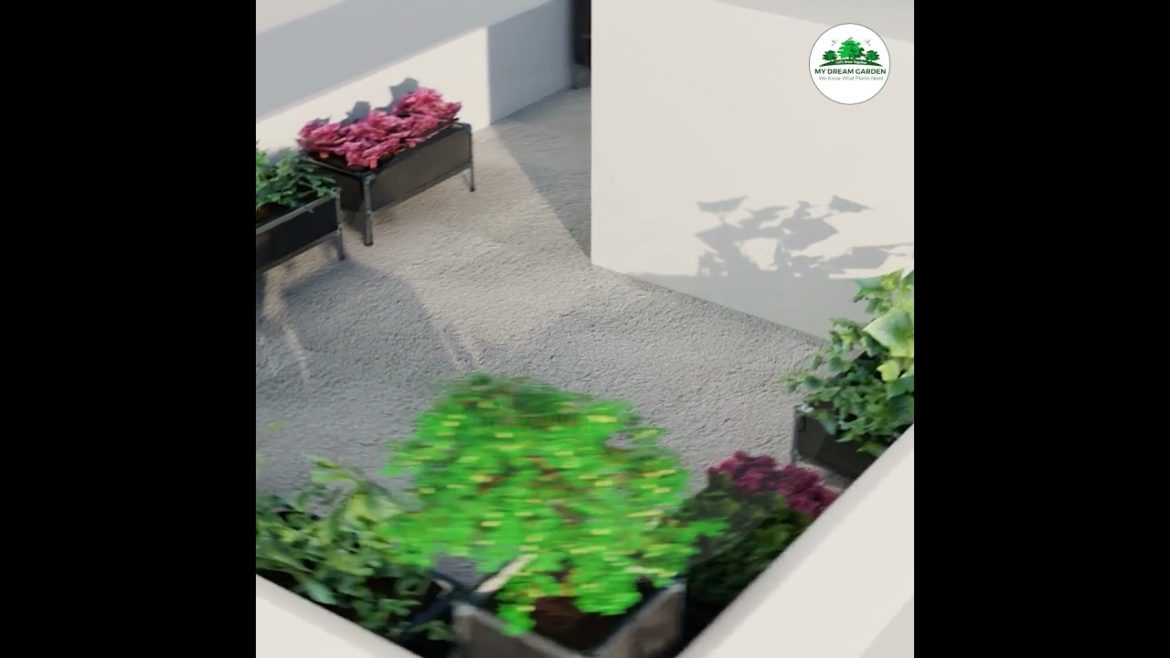 Vegetable Garden On Terrace-Terrace Garden Design - My Dream Garden