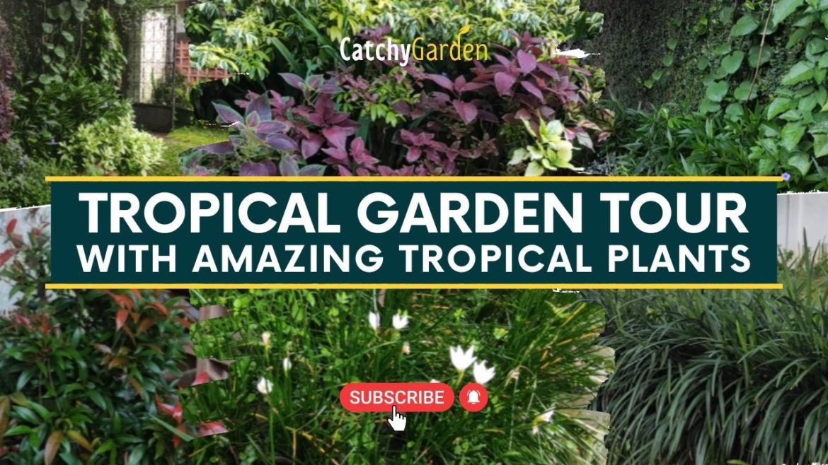 Tropical Garden Tour With Amazing Tropical Plants π΄π³ // Gardening Ideas Tropical Garden Tour With Amazing Tropical Plants π΄π³ // Gardening Ideas