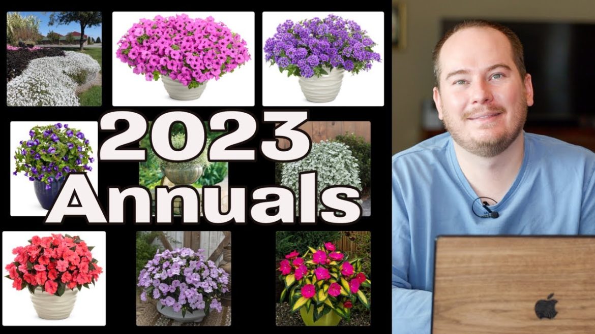 Annuals I'm Growing in My Garden in 2023 | The Southerner's Northern Garden Annuals I'm Growing in My Garden in 2023 | The Southerner's Northern Garden