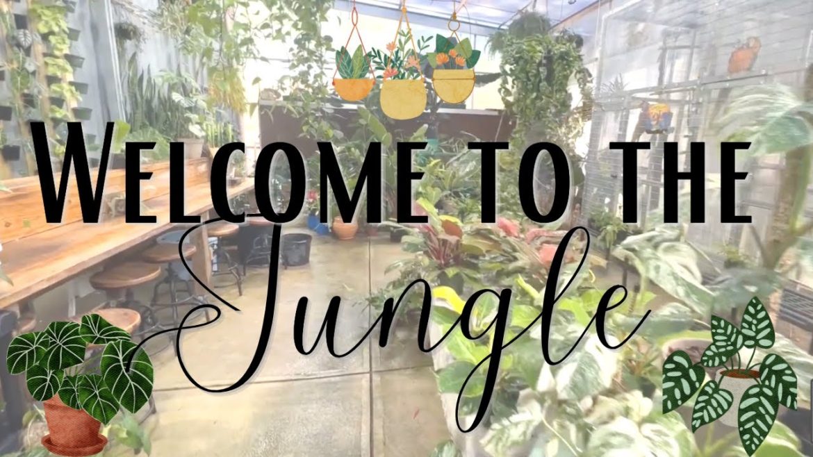 Welcome to the JUNGLE!!🦜🌴😃